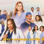 türkei – georgien grey's anatomy staffel 21