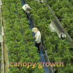 canopy growth
