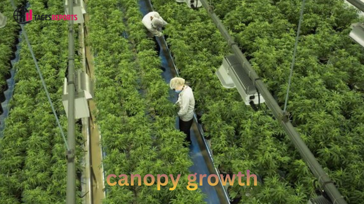 canopy growth canopy growth