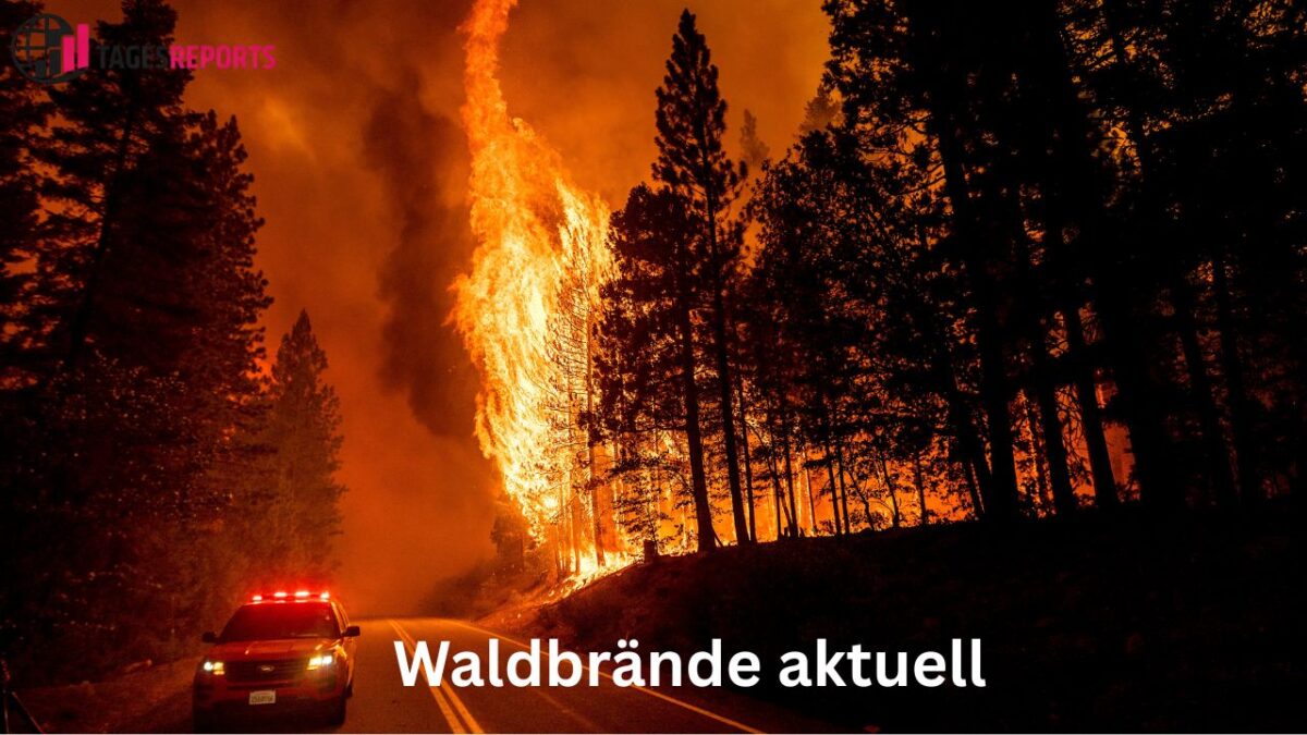 Waldbrände aktuell