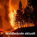 Waldbrände aktuell